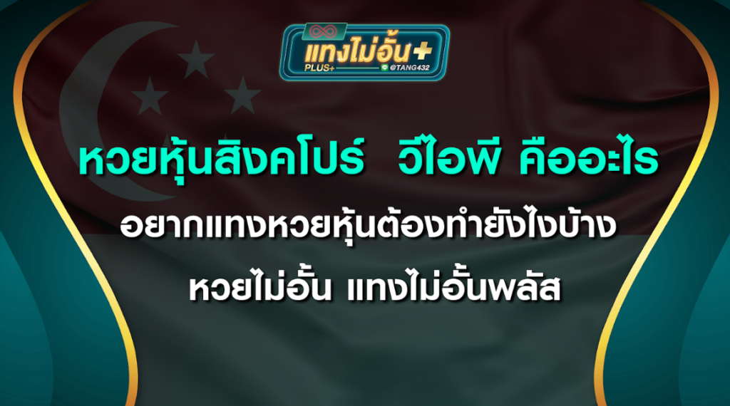 หวยหุ้นสิงคโปร์วีไอพี คืออะไร อยากแทงหวยหุ้นต้องทำยังไงบ้าง หวยไม่อั้น แทงไม่อั้นพลัส